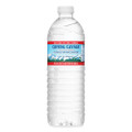 Natural Alpine Spring Water, 16.9 oz Bottle, 24/Carton