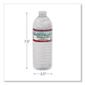 Natural Alpine Spring Water, 16.9 oz Bottle, 35/Carton