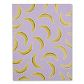 Fruit Themed Laminated Two-Pocket Folder, Randomly Assorted Designs, 3-Hole Punched, 11 x 8.5, Randomly Assorted Colors