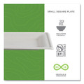 Vanguard Renewable and Compostable Sugarcane Plates, 6 x 6, White, 500/Carton