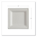 Vanguard Renewable and Compostable Sugarcane Plates, 6 x 6, White, 500/Carton