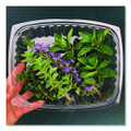 Renewable and Compostable Rectangular Deli Containers with Lid, 24 oz, 4 x 5.5 x 2, Clear, Plastic, 50/Pack, 4 Packs/Carton