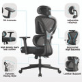 Norn Ergonomic Chair, Supports Up to 275 lb, 18.11" to 22.04" Seat Height, Black/Blue Mesh Seat/Back, Black Base