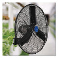 2 Speed Oscillating Outdoor Rated Wall Mount Fan, 30"