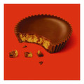 Snack Size Peanut Butter Cups, 19.5 oz Bag, 2 Bags/Carton