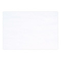 Placemats, Smooth Surface, Scalloped Edges, 13.5" x 9.63", White, 1,000/Carton