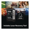Professional SILVER Series SDXC Memory Card, 205MB/s Read Speeds and 150MB/s Write Speeds, UHS-I V30 U1 Class 10, 256 GB