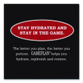 Gameplan Sports Drink, Fruit Punch, 20 oz Bottle, 24/Carton