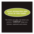 Gameplan Sports Drink, Lemon Lime, 20 oz Bottle, 24/Carton