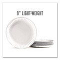 Economy Paper Plates, 9" dia, White, 1,000/Carton