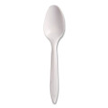 Style Setter Medium Weight Polypropylene Cutlery, Teaspoon, Plastic, White, 1,000/Carton