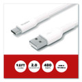 USB-C to USB-A 2.0 Charging Cable, 9.8 ft, White