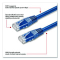 CAT6 Ethernet Cable, 100 ft, Blue