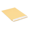 Catalog Envelope, #12 1/2, Square Flap, Gummed Closure, 9.5 X 12.5, Brown Kraft, 250/box