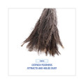 Professional Ostrich Feather Duster, 16" Handle - VISBWK31FD