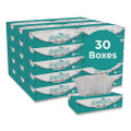 Premium Facial Tissues, 2-ply, White, 100 Sheets/flat Box, 30 Boxes/carton
