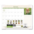 Puppies Monthly Desk Pad Calendar, Puppies Photography, 22 X 17, White Sheets, Clear Corners, 12-month (jan To Dec): 2022