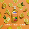 Antibacterial Hand Soap, Citrus, 11.25 Oz Pump Bottle