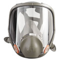 Full Facepiece Respirator 6000 Series, Reusable - VISMMM6900