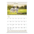 Puppies Monthly Wall Calendar, Puppies Photography, 15.5 X 22.75, White/multicolor Sheets, 12-month (jan To Dec): 2022 Puppies Monthly Wall Calendar, Puppies Photography, 15.5 X 22.75, White/multicolor Sheets, 12-month (jan To Dec): 2022