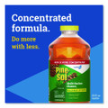 Cloroxpro Multi-surface Cleaner Disinfectant Concentrated, Original Pine, 80 Oz Bottle