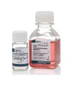 Frozen Section Medium Kit Gibco® Pluripotent Stem Cells (PSC) Clear / Pink