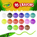 Jumbo Crayons, Assorted, 16/box