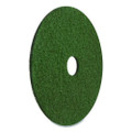 Black Diamond 3000 Grit Diamond Pad, 20" Diameter, Black/green, 2/carton - VISAM7442420