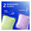Cleaning Pacs, Lavender Scent, 10/pack