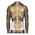 Corfit System Lumbosacral Spinal Back Support, X-large, 40" To 52" Waist, White