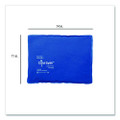 Coldspot Reusable Cold Therapy Pack, 14 X 11, Blue Vinyl