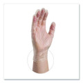 Vinyl Exam Gloves, Powder-free, X-large, Clear, 100/box