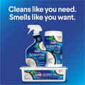 Clorox Scentiva Multi-Surface Cleaner - For Multi Surface, Home, Multipurpose - Spray - 32 fl oz (1 quart) - Coconut & Water Lily Scent - Bleach-free, Disinfectant, Long Lasting, Freshen, Deodorize - Blue - 1 Each