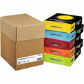 Wausau Paper Astrobrights 24 lb Colored Paper - 24 lb Basis Weight - Printable, Acid-free, Lignin-free - Assorted - 500 Sheets - 500 Sheets per Ream - 5 Ream per Case - 5 / Carton