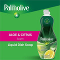 Palmolive Ultra Liquid Dish Soap - For Dish, Pot, Pan - Liquid - 20 fl oz (0.6 quart) - Recommended For: Grease Remover, Dried-on Food Remover - Soft - Clear - 9 / Carton