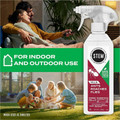 STEM Crawling Insect Killer - Spray - Kills Ants, Cockroaches, Flies, Bugs - 12 fl oz - 1 Each