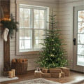 National Tree Christmas Tree - Green - Christmas Theme - Vertical