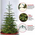 National Tree Christmas Tree - Green - Christmas Theme - Vertical
