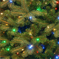 National Tree Downswept Douglas Fir Christmas Tree - Green - Christmas Theme - Vertical