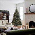 National Tree Carolina Pine Christmas Tree - Green - Christmas Theme - Vertical