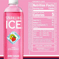 Talking Rain Sparkling ICE Purple-Variety Flavor Sparkling Water - Sugar Free - 1.06 lb - Cherry Limeade, Kiwi Strawberry, Orange Mango, Blackberry - 12 / Carton