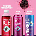 Talking Rain Sparkling ICE Purple-Variety Flavor Sparkling Water - Sugar Free - 1.06 lb - Cherry Limeade, Kiwi Strawberry, Orange Mango, Blackberry - 12 / Carton