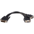 StarTech.com LFH 59 Male to Dual Female VGA DMS 59 Cable - 8" Video Cable for Monitor, Graphics Card - First End: 2 x 15-pin HD-15 - Female - Second End: 1 x 59-pin DMS-59 - Male - Nickel Plated Connector - Black - 1 Each