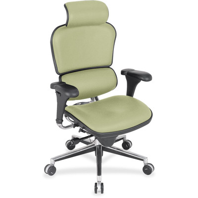 Eurotech Ergohuman Leather Executive Chair - Sage Seat Color - Vinyl, Leather, Fabric Seat Material - Sage Back Color - Vinyl, Fabric, Leather Back Material - 5-star Base - 1 Each