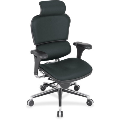Eurotech Ergohuman Leather Executive Chair - Black Seat Color - Vinyl, Fabric, Leather Seat Material - Black Back Color - Vinyl, Fabric, Leather Back Material - 5-star Base - 1 Each