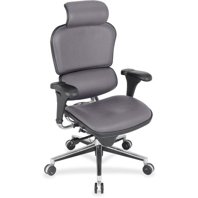 Eurotech Ergohuman Leather Executive Chair - Carbon Seat Color - Fabric, Leather, Vinyl Seat Material - Carbon Back Color - Vinyl, Fabric, Leather Back Material - High Back - 5-star Base - 1 Each