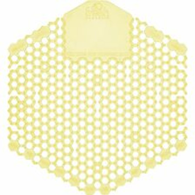 Rubbermaid Commercial Poly Bristle Medium Push Broom - 3" Polypropylene Bristle - 1.13" Handle Diameter - Lacquered Wood Handle - 1 Each