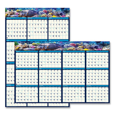 Earthscapes Recycled Reversible/erasable Yearly Wall Calendar, Sea Life Photos, 24 X 37, White Sheets, 12-month(jan-dec):2022 Earthscapes Recycled Reversible/erasable Yearly Wall Calendar, Sea Life Photos, 24 X 37, White Sheets, 12-month(jan-dec):2022