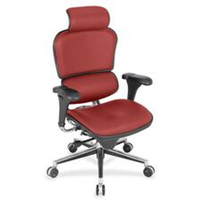 Eurotech Ergohuman Leather Executive Chair - Candy Seat Color - Lifesaver Fabric Seat Material - Candy Back Color - Lifesaver Fabric Back Material - 5-star Base - 1 Each