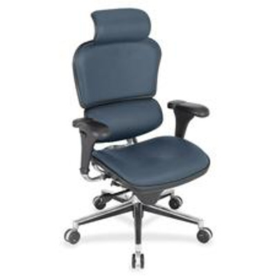 Eurotech ergohuman LE9ERG High Back Executive Chair - Chesapeake Seat Color - Shire Fabric Seat Material - Chesapeake Back Color - Shire Fabric Back Material - 5-star Base - 1 Each